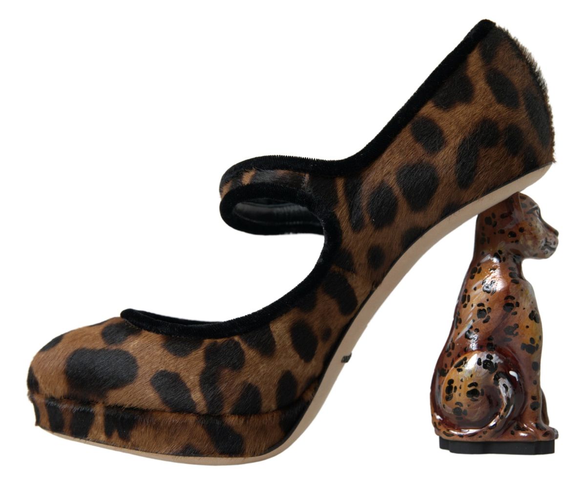 Dolce & Gabbana Elegante Leopardhæl-pumps for Chic Sofistikation