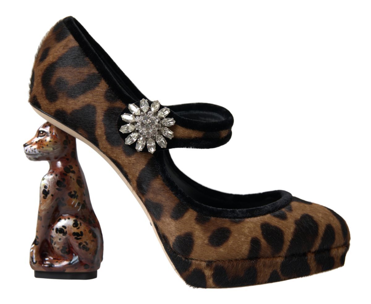 Dolce & Gabbana Elegante Leopardhæl-pumps for Chic Sofistikation