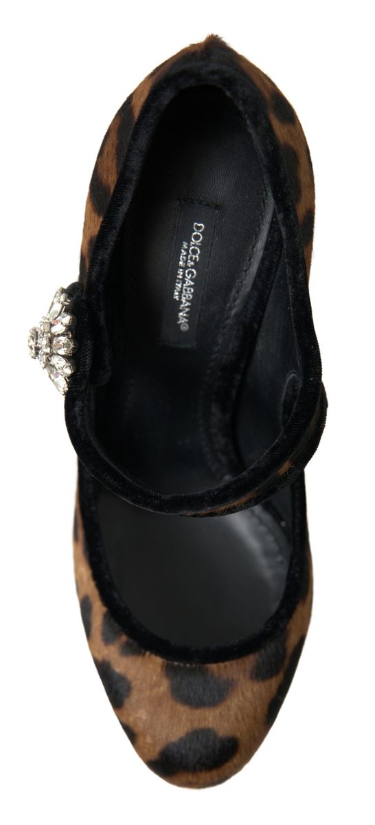 Dolce & Gabbana Elegante Leopardhæl-pumps for Chic Sofistikation