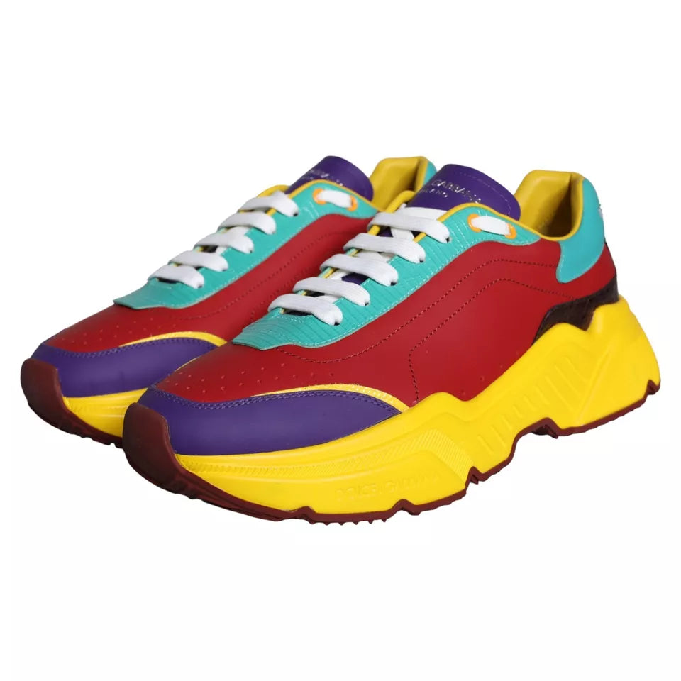 Dolce & Gabbana Flerfarvede Daymaster Lave Sneakers Sko