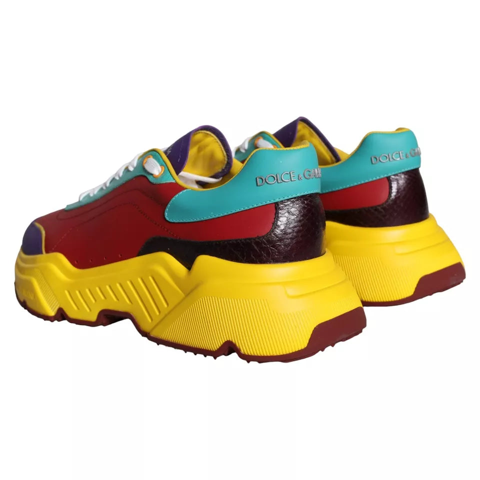 Dolce & Gabbana Flerfarvede Daymaster Lave Sneakers Sko