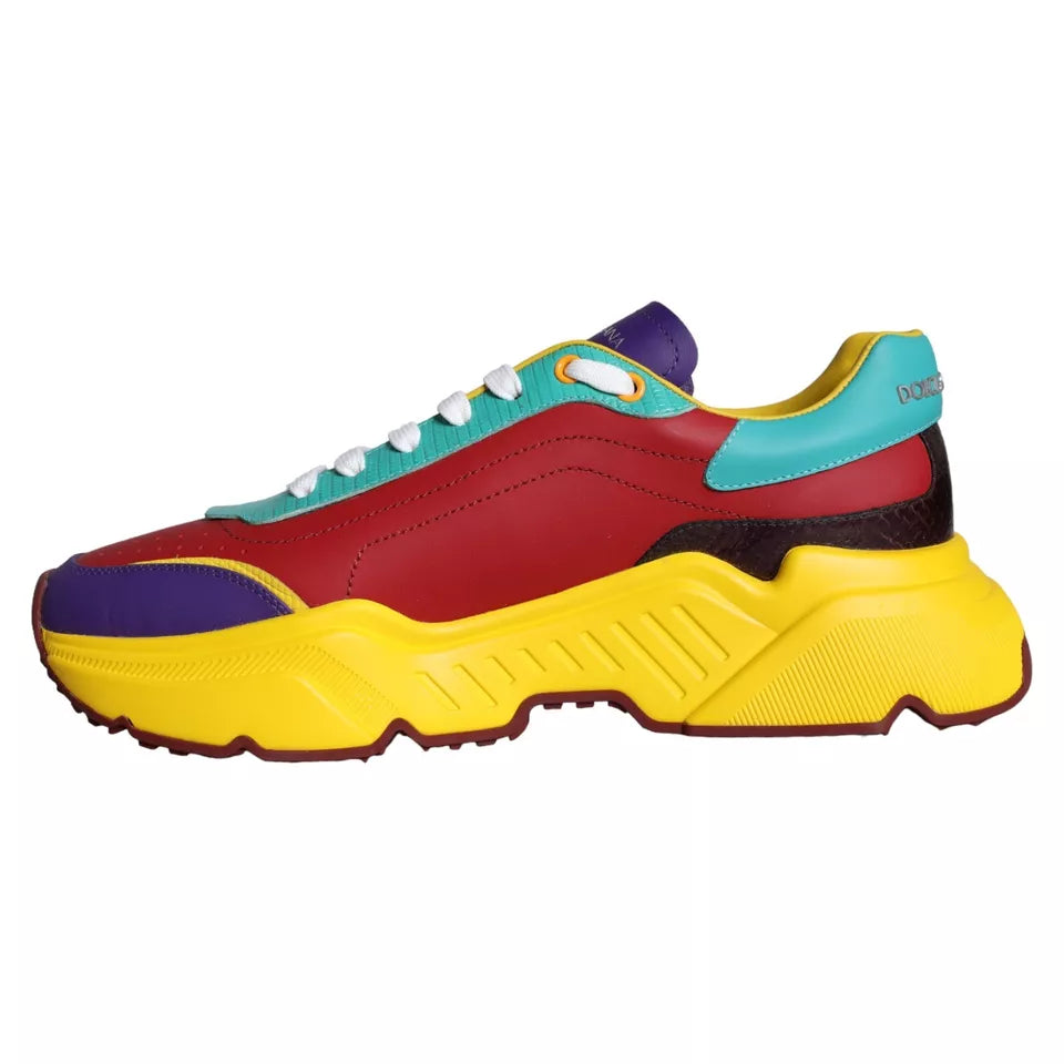 Dolce & Gabbana Flerfarvede Daymaster Lave Sneakers Sko