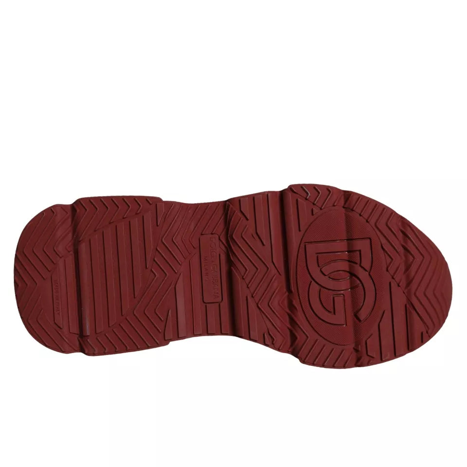 Dolce & Gabbana Flerfarvede Daymaster Lave Sneakers Sko