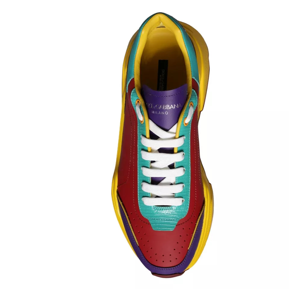 Dolce & Gabbana Flerfarvede Daymaster Lave Sneakers Sko