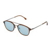 Lozza brune acetat solbriller