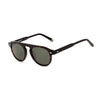 Belstaff brune acetat solbriller