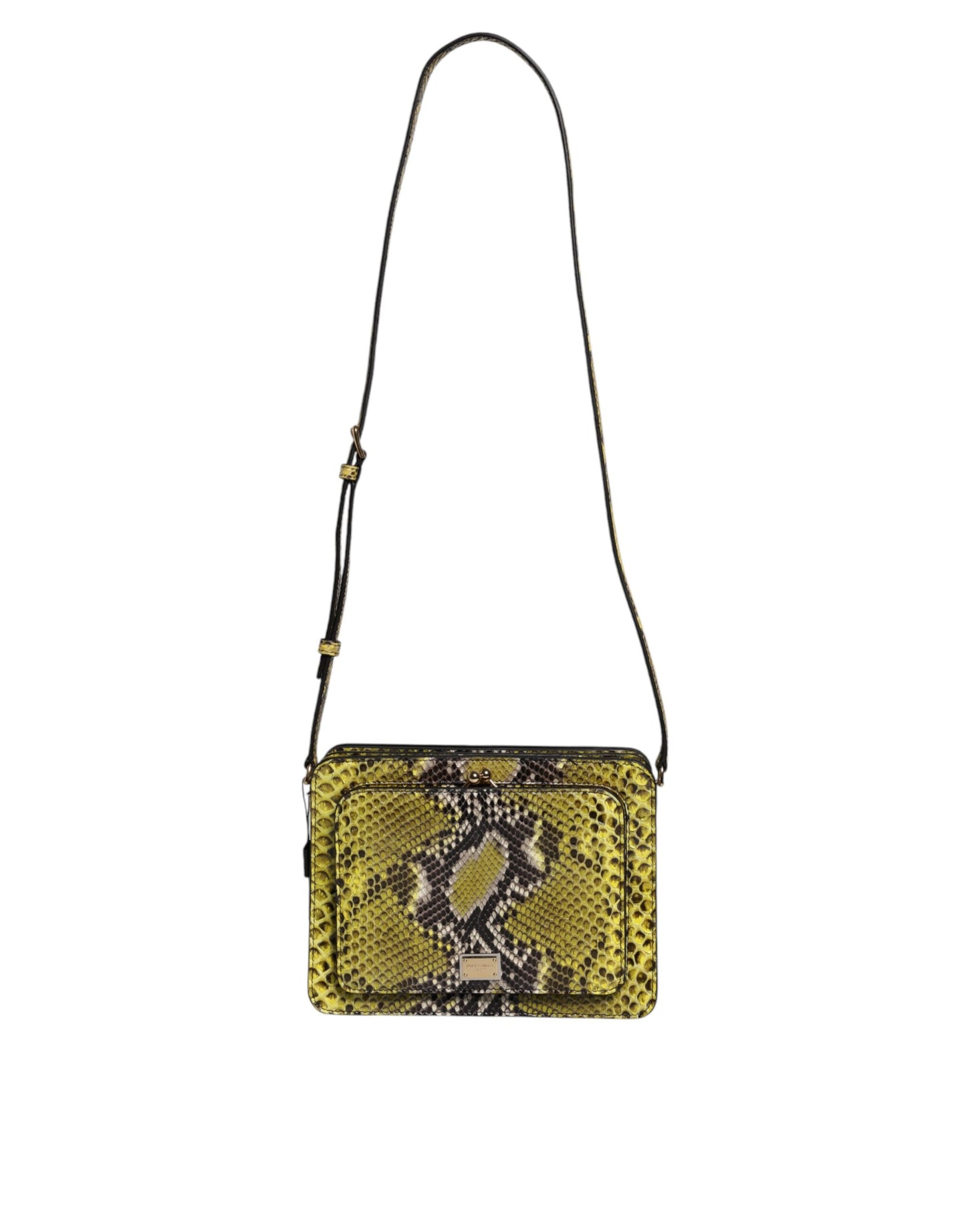 Dolce & Gabbana Grøn Eksotisk Læder DG Plaque Crossbody Clutch