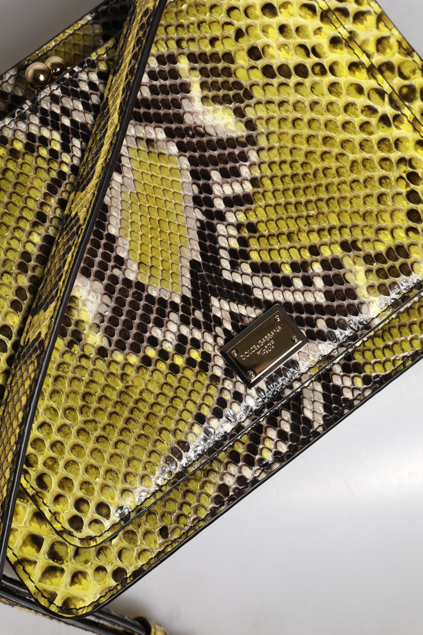Dolce & Gabbana Grøn Eksotisk Læder DG Plaque Crossbody Clutch