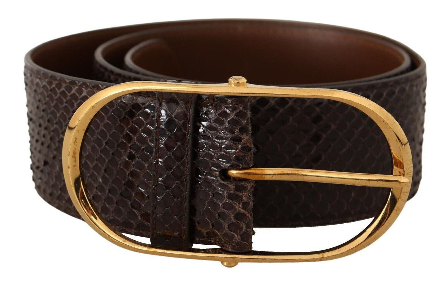 Dolce & Gabbana Elegant Python Leather Belt with Gold Buckle