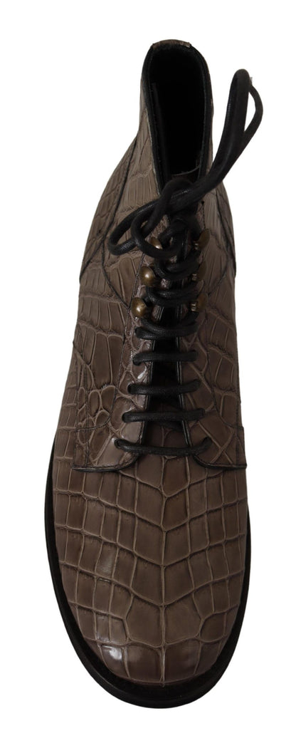 Cizme Brogue Derby Elegante de Crocodil Dolce &amp; Gabbana