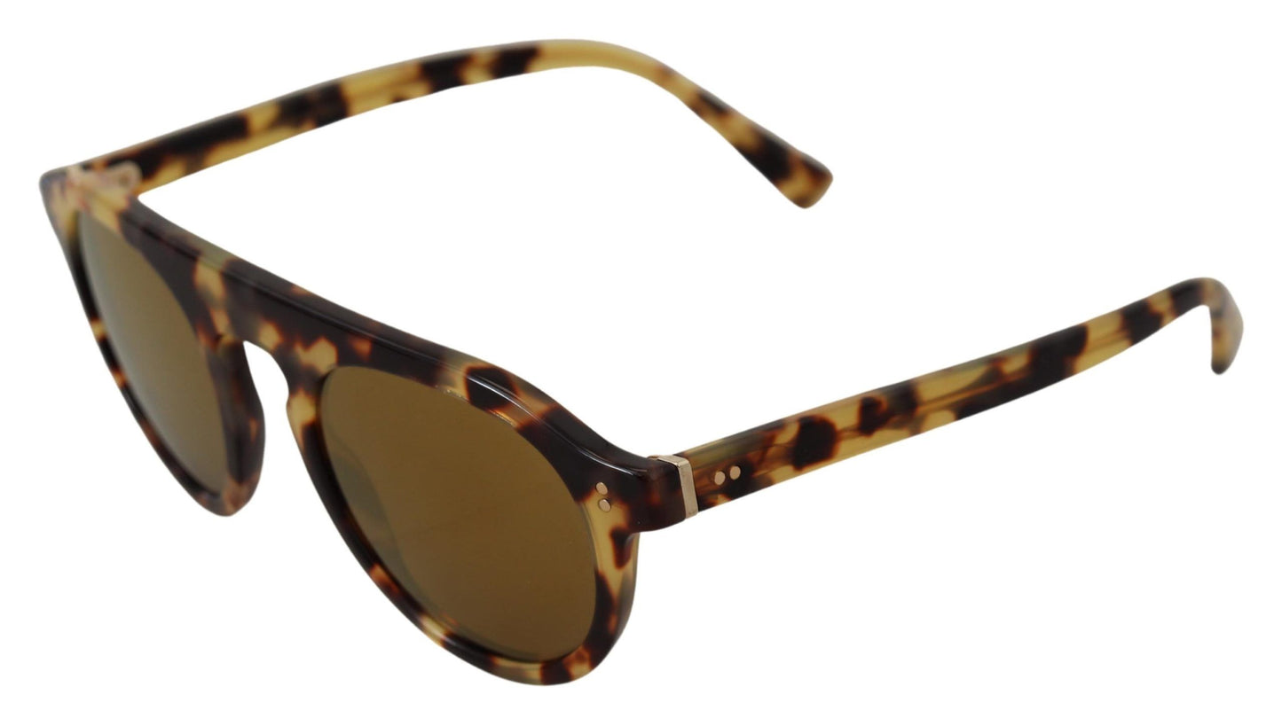 Dolce &amp; Gabbana Chic Tortoiseshell Acetate solbriller