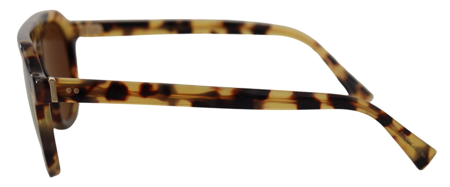 Dolce &amp; Gabbana Chic Tortoiseshell Acetate solbriller