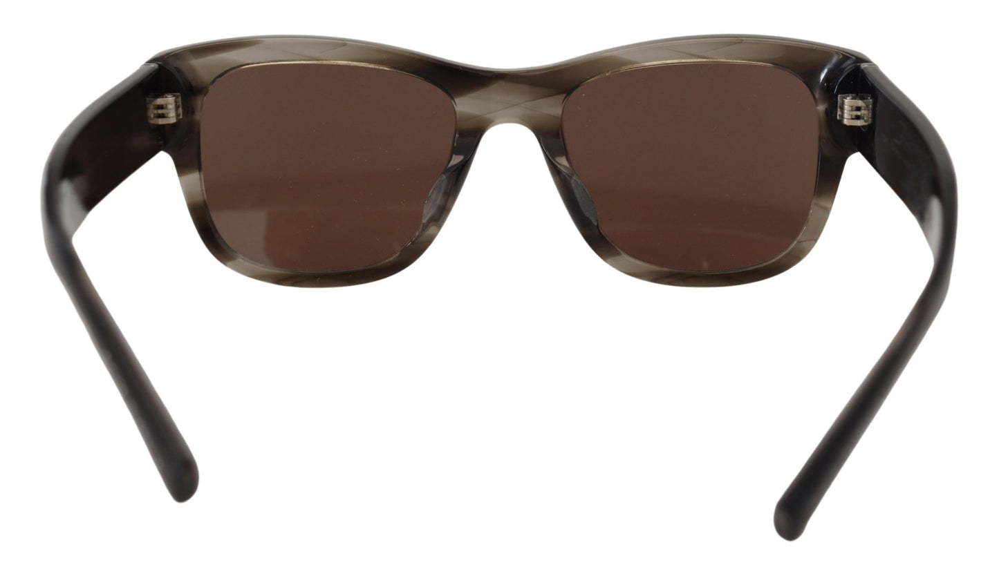 Dolce &amp; Gabbana Chic Brown Gradient Solbriller til kvinder