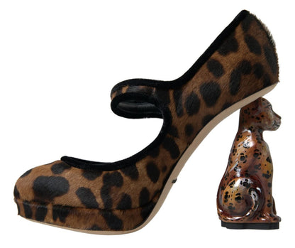 Dolce &amp; Gabbana Elegante Leopardhæl-pumps for Chic Sofistikation