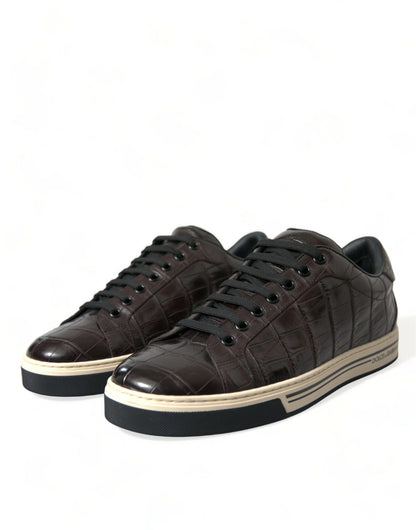 Dolce &amp; Gabbana Elegante Eksotiske Læder Low-Top Sneakers