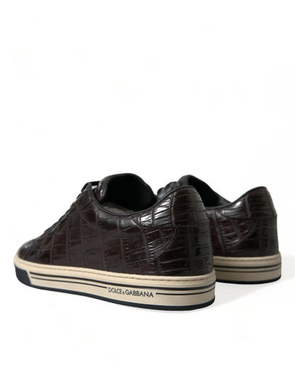 Dolce &amp; Gabbana Elegante Eksotiske Læder Low-Top Sneakers