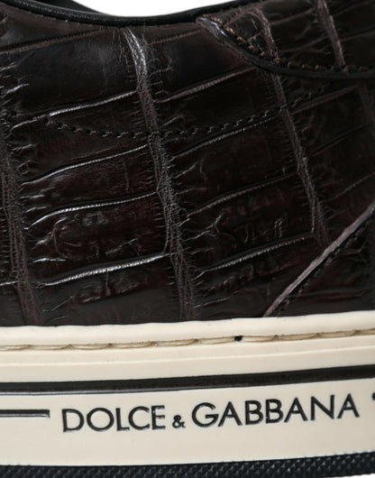 Dolce &amp; Gabbana Elegante Eksotiske Læder Low-Top Sneakers
