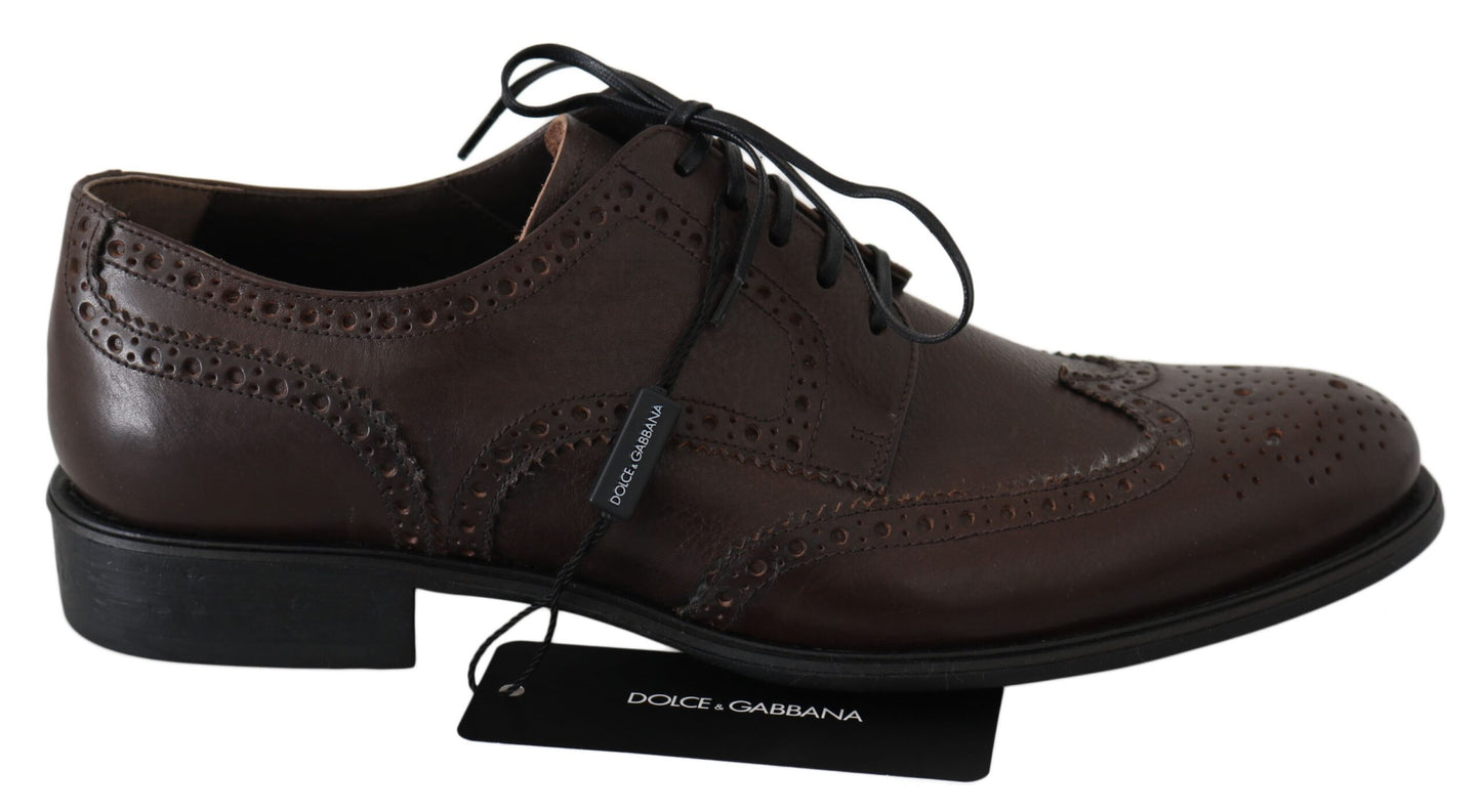 Dolce &amp; Gabbana Elegant brunt læder Derby Brogues