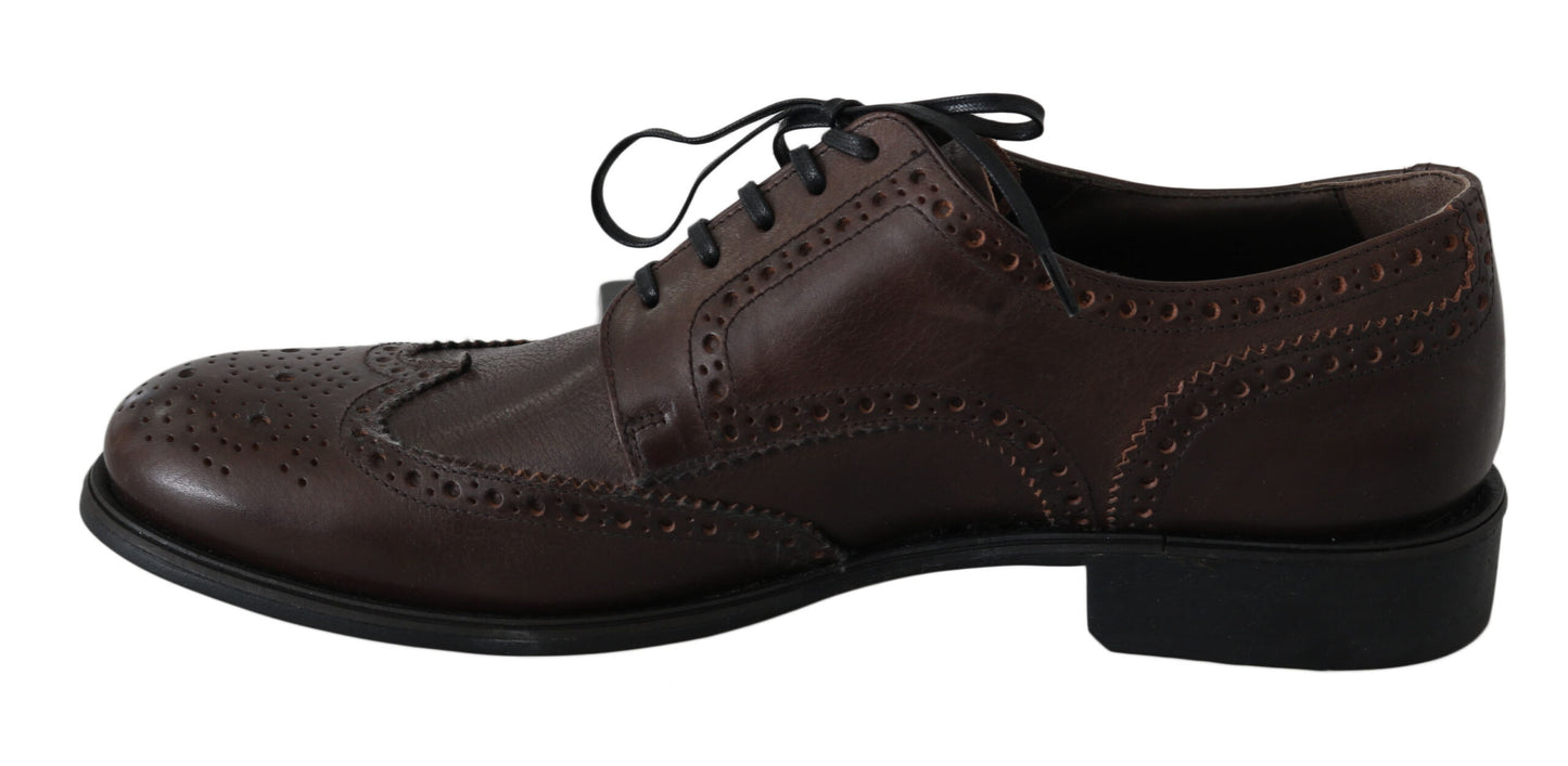 Dolce &amp; Gabbana Elegant brunt læder Derby Brogues