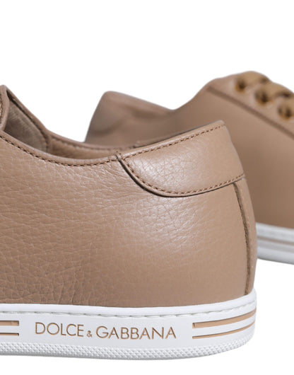 Dolce &amp; Gabbana Brune Lave Herrer Saint Tropez Sneakers Sko