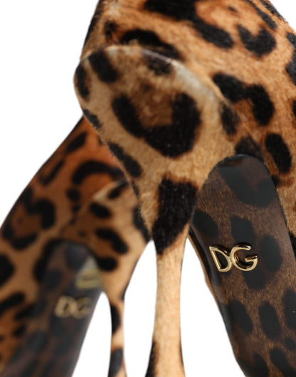 Dolce &amp; Gabbana Brune Leopard Kalvehårs Pumps Sko