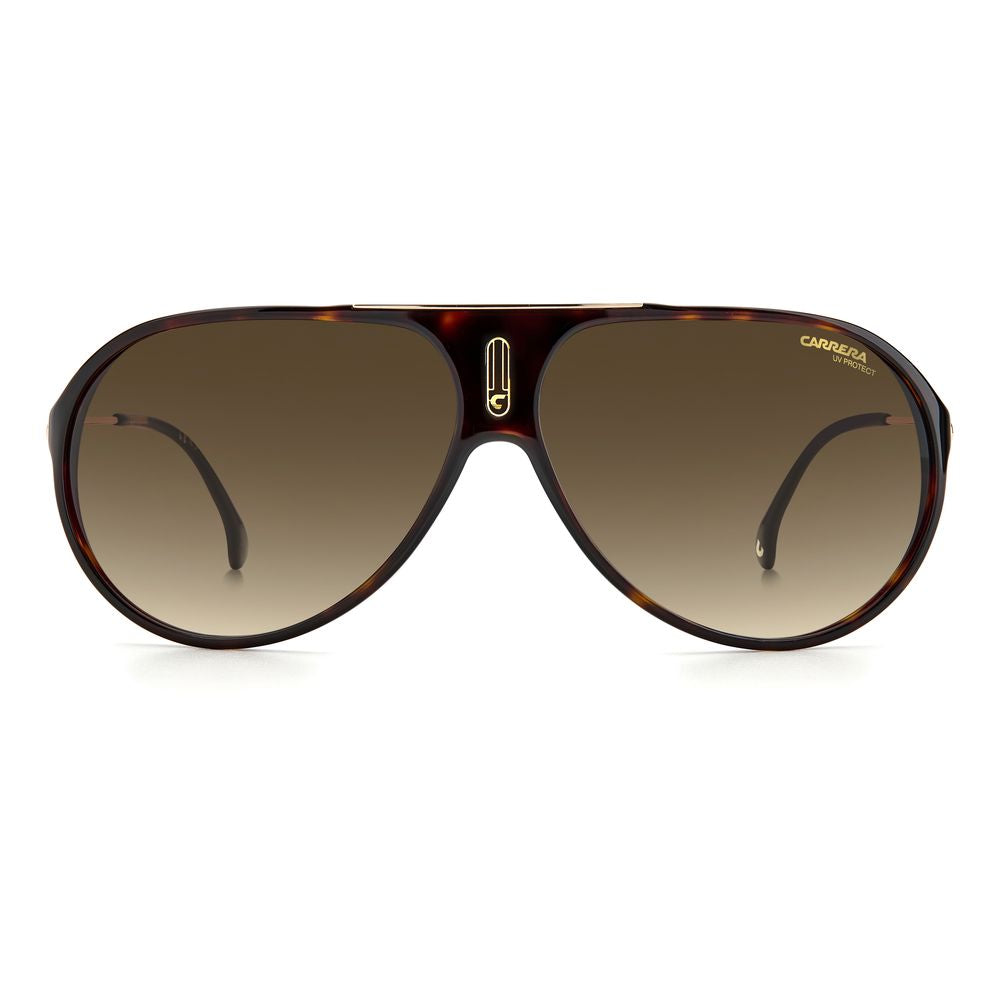 Carrera Brown Acetate solbriller