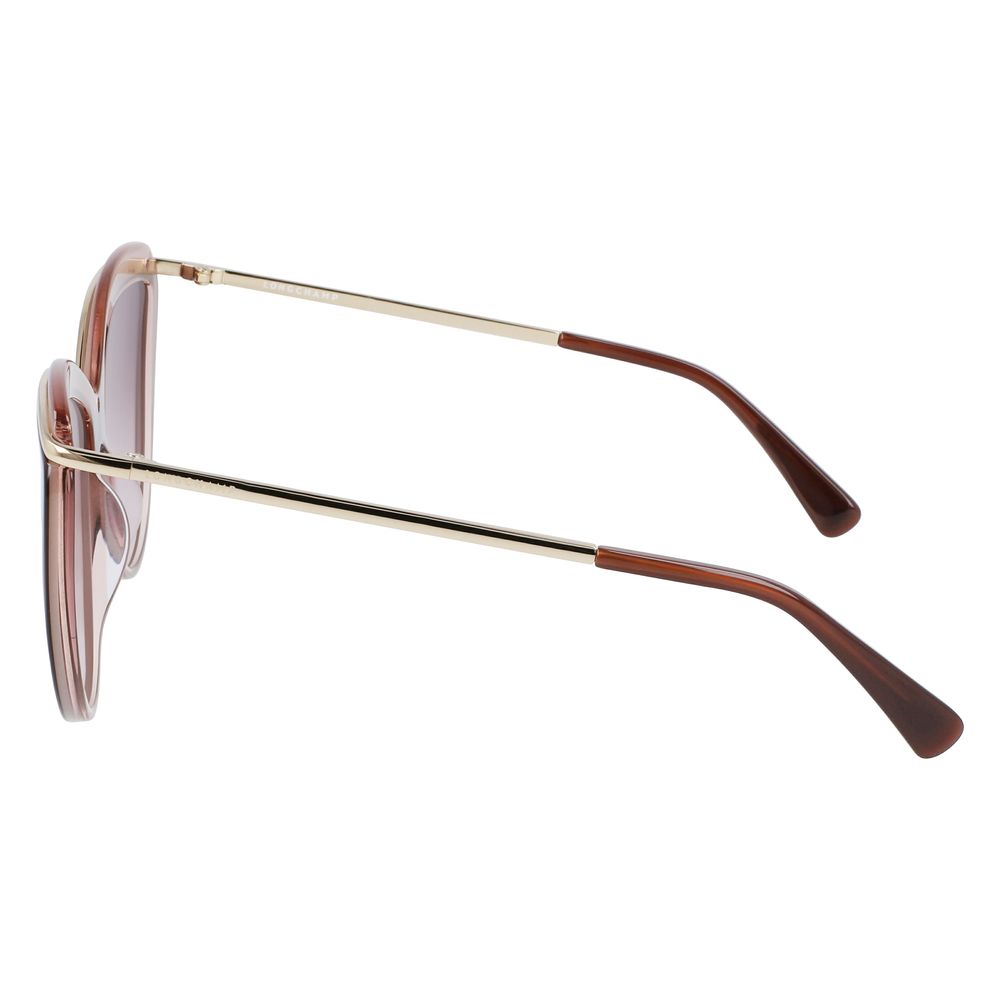 Longchamp Brown Acetate solbriller