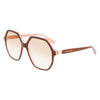 Longchamp Brown Acetate solbriller