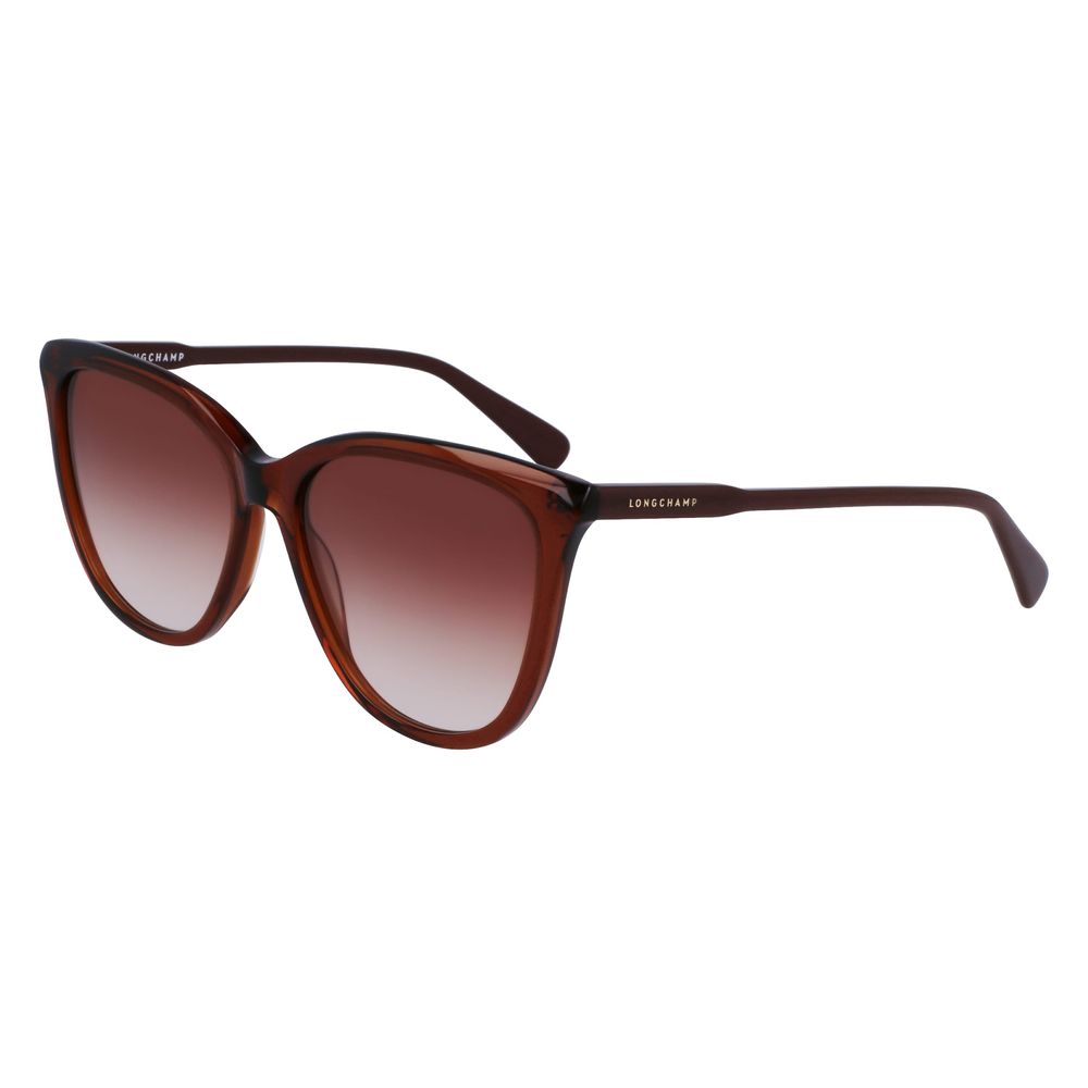 Longchamp Brown Acetate solbriller