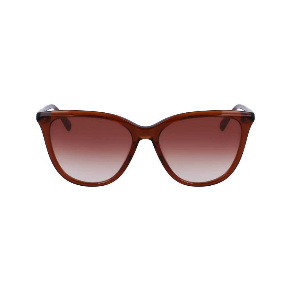 Longchamp Brown Acetate solbriller