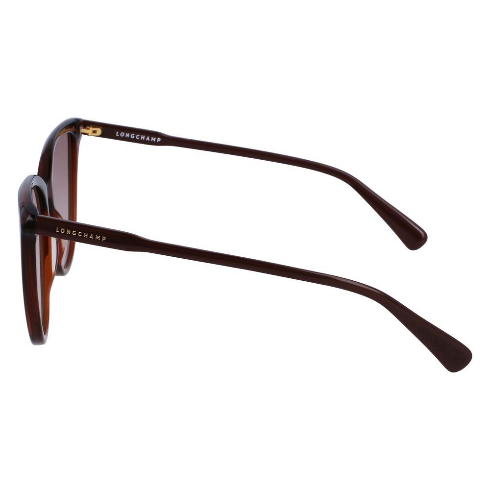 Longchamp Brown Acetate solbriller