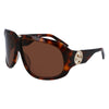 Longchamp Brown Acetate solbriller