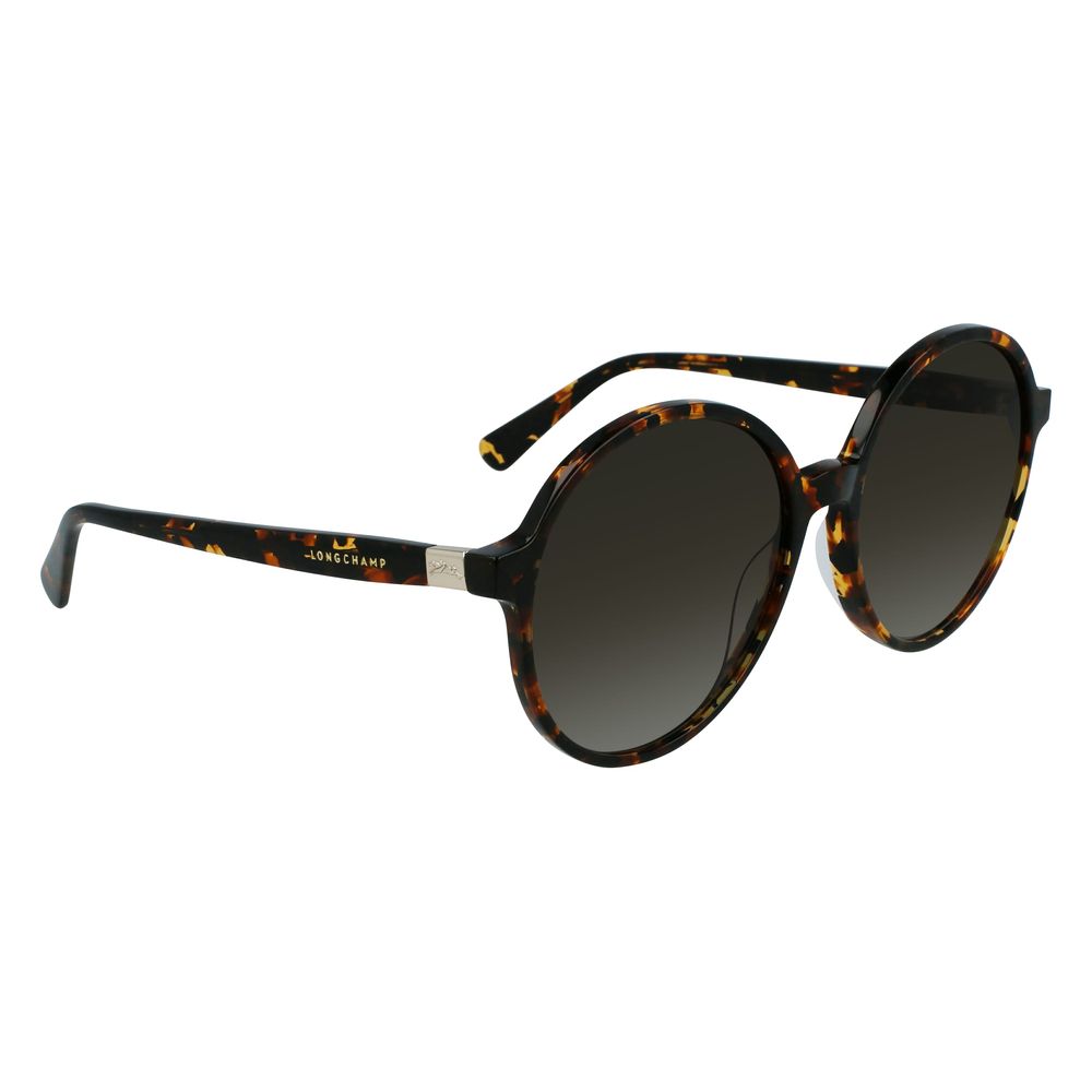 Longchamp Brown Acetate solbriller