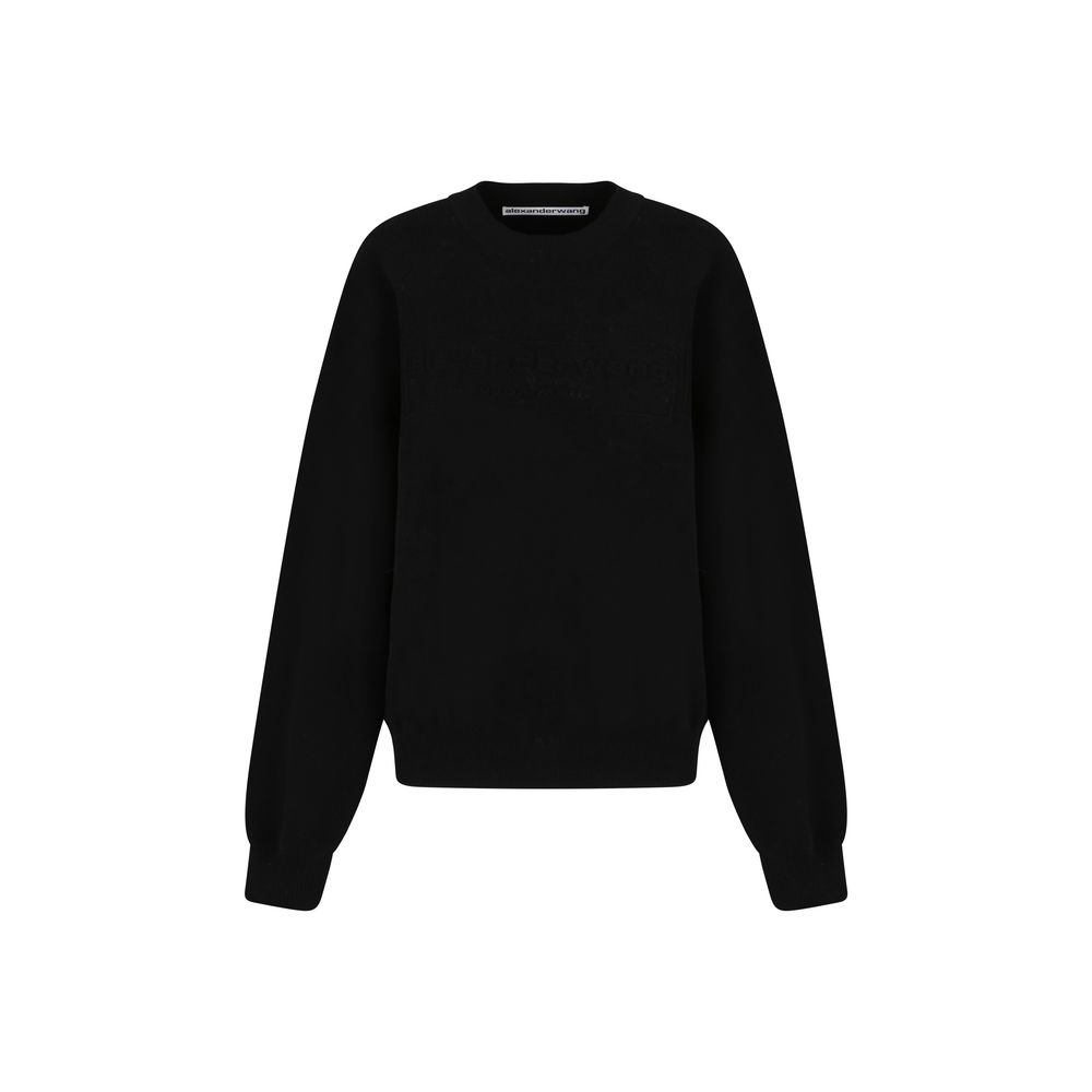 Alexander Wang sweater