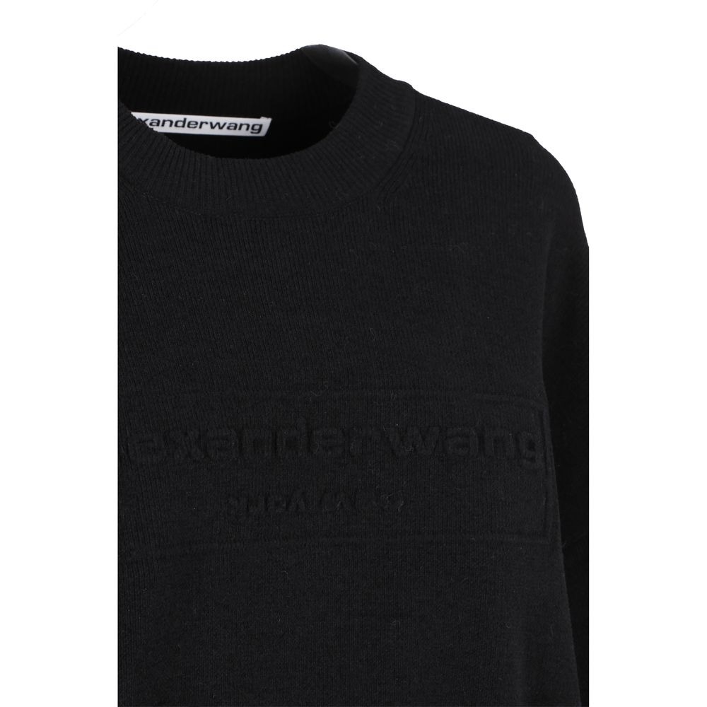 Alexander Wang sweater