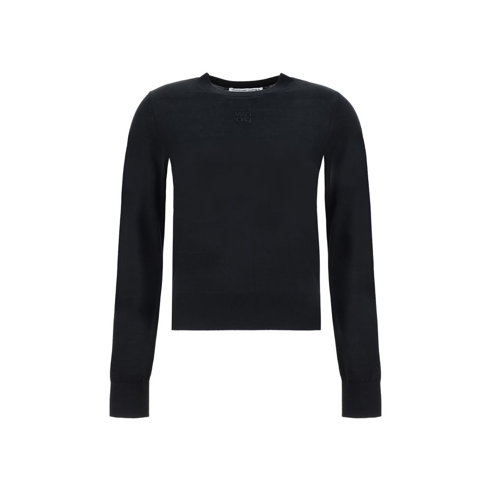 Alexander Wang sweater