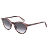 Zadig & Voltaire Brown Acetate solbriller