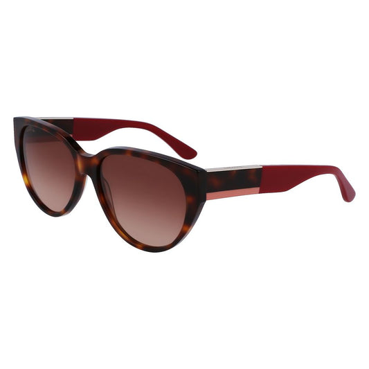 Lacoste Brown Acetate solbriller