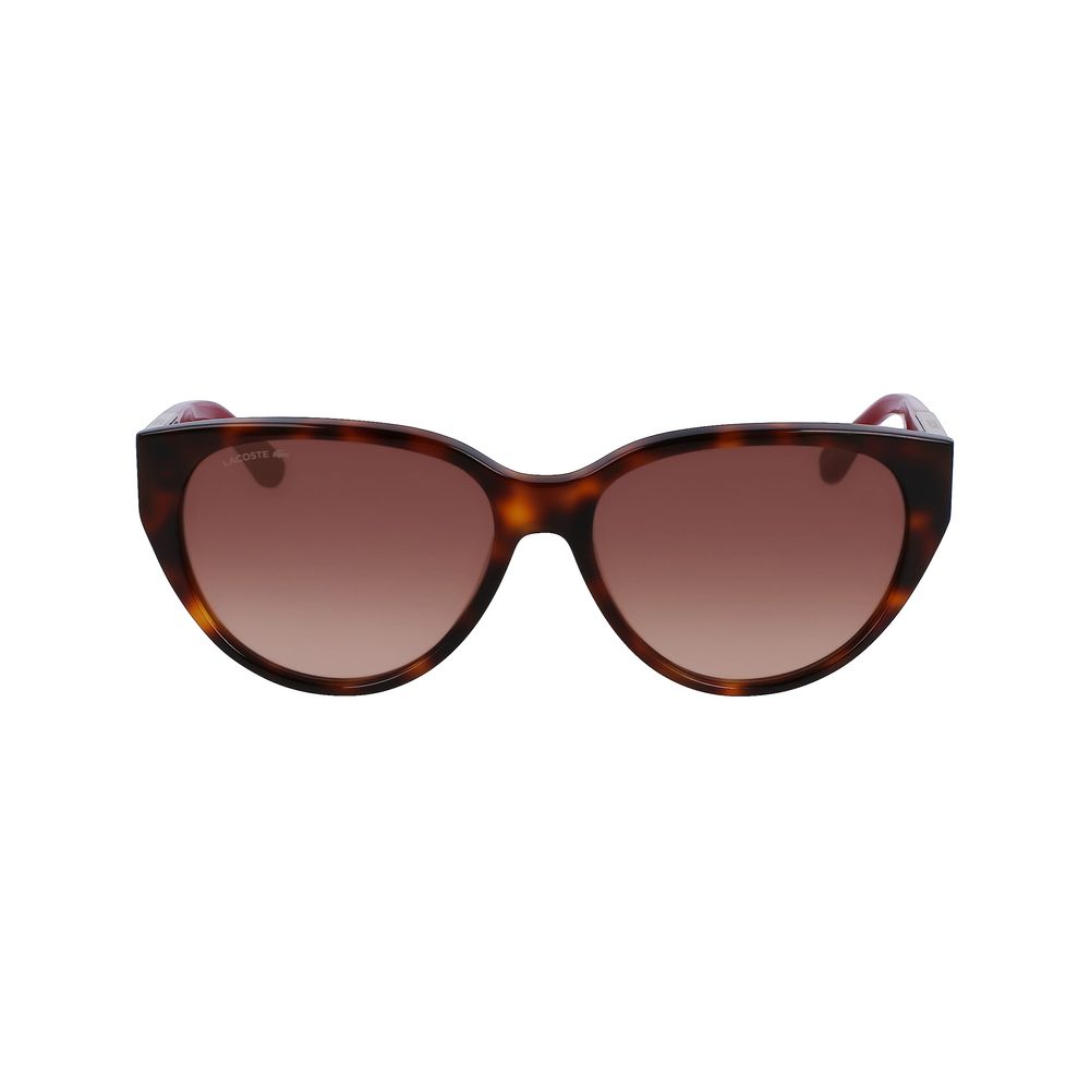 Lacoste Brown Acetate solbriller