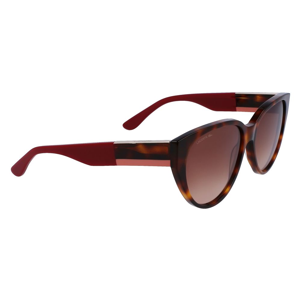 Lacoste Brown Acetate solbriller