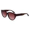 Lacoste Red Acetate solbriller