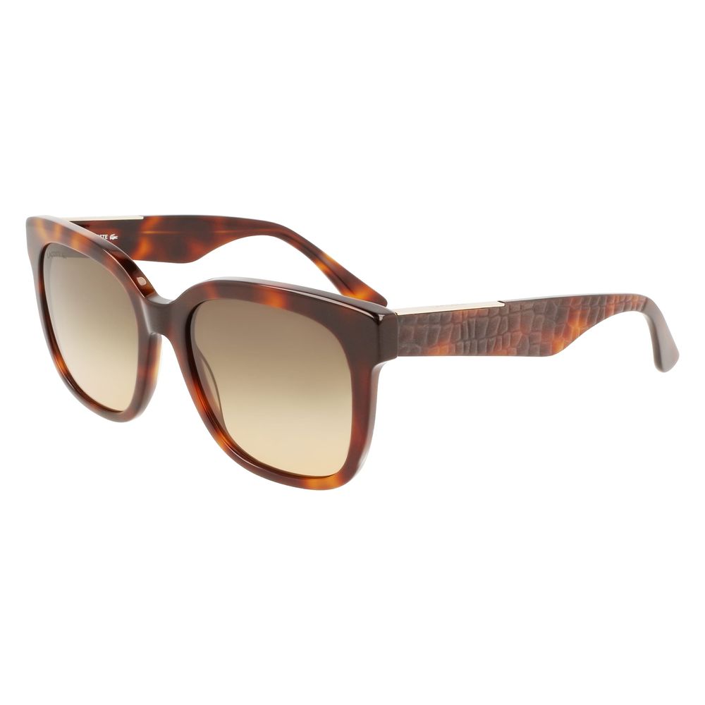 Lacoste Brown Acetate solbriller