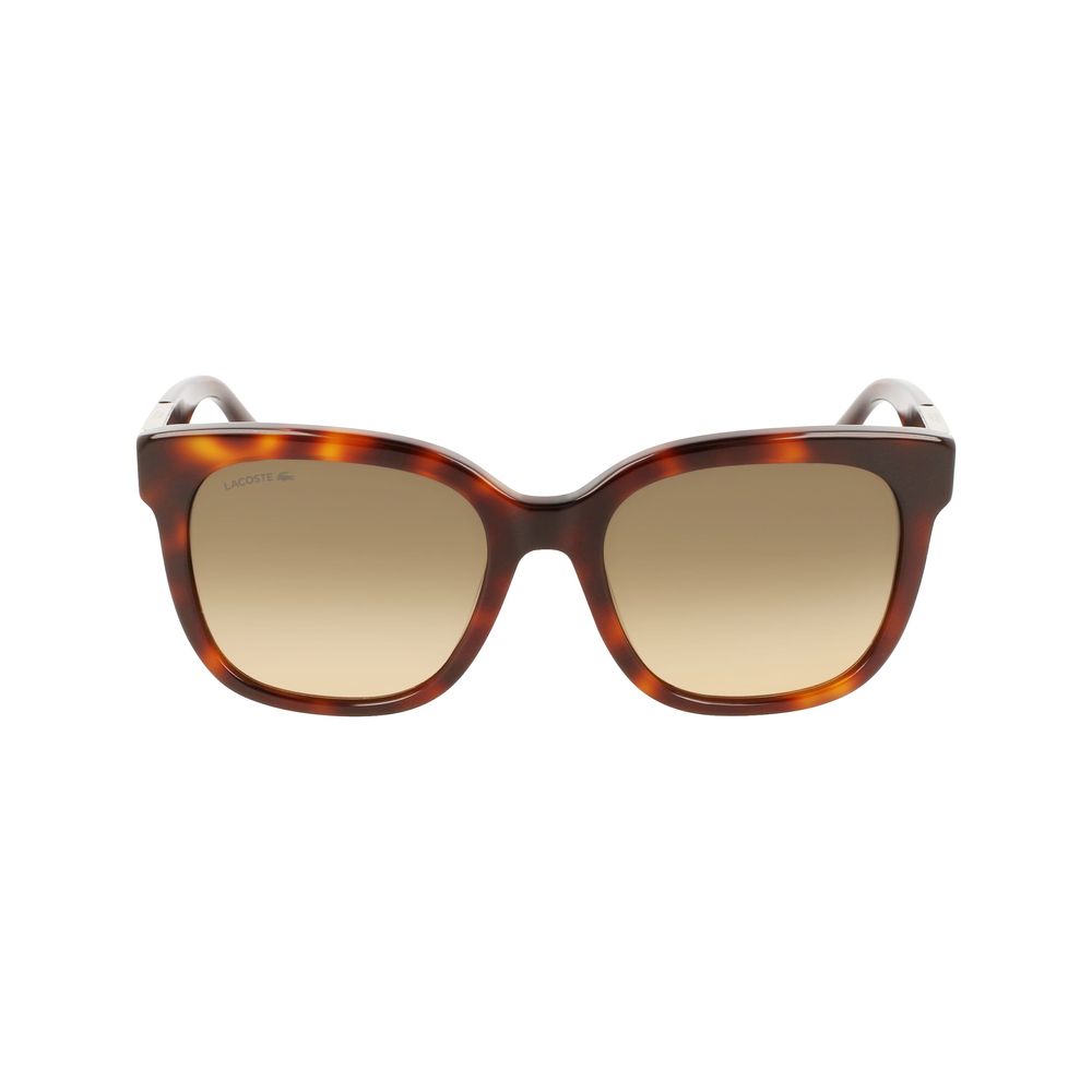 Lacoste Brown Acetate solbriller