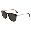 Lacoste brune acetatsolbriller