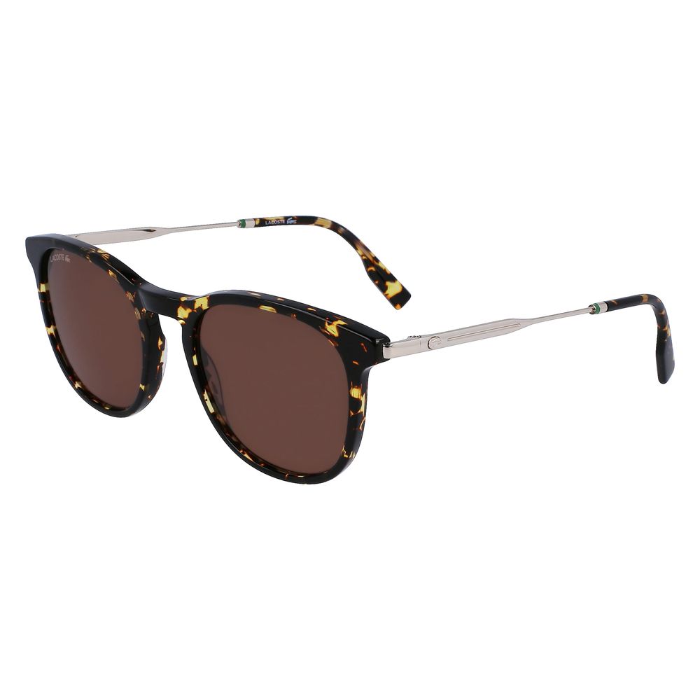 Lacoste brune acetatsolbriller