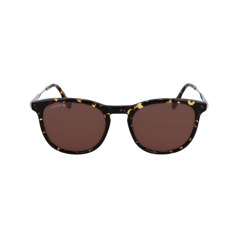 Lacoste brune acetatsolbriller