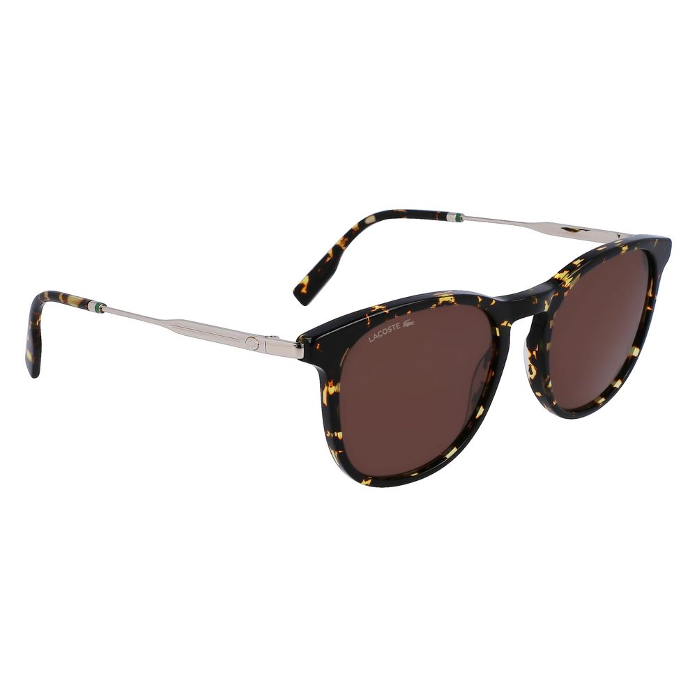 Lacoste brune acetatsolbriller