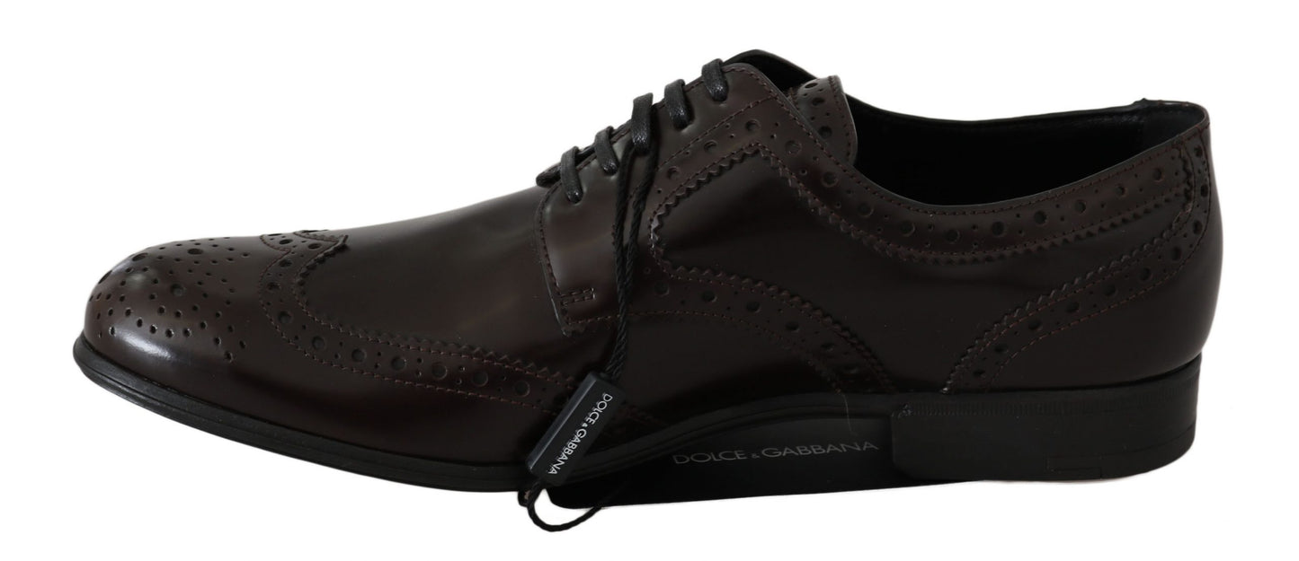 Dolce &amp; Gabbana Elegant Oxford Flats i brunt læder